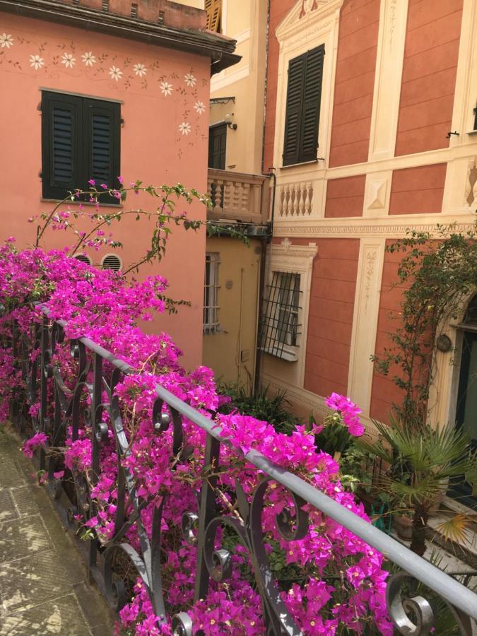 Casetta Del Marinaio 卡莫利 外观 照片