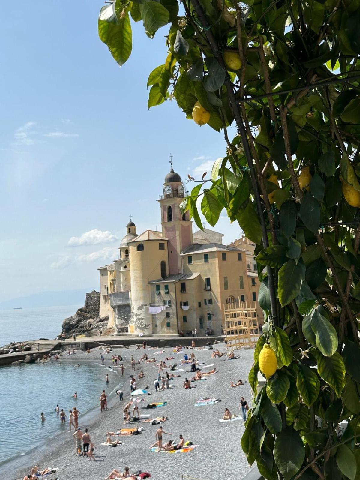 Casetta Del Marinaio 卡莫利 外观 照片