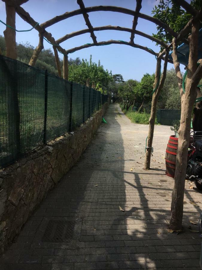 Casetta Del Marinaio 卡莫利 外观 照片