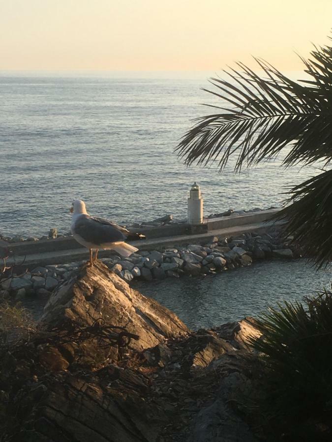 Casetta Del Marinaio 卡莫利 外观 照片